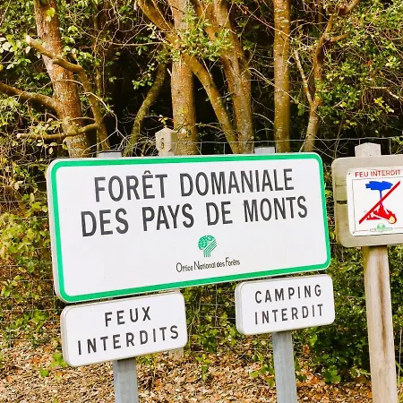 Les Jacinthes * Saint-Jean-de-Monts