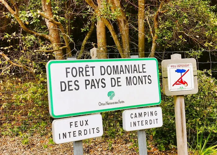 Les Jacinthes * Saint-Jean-de-Monts